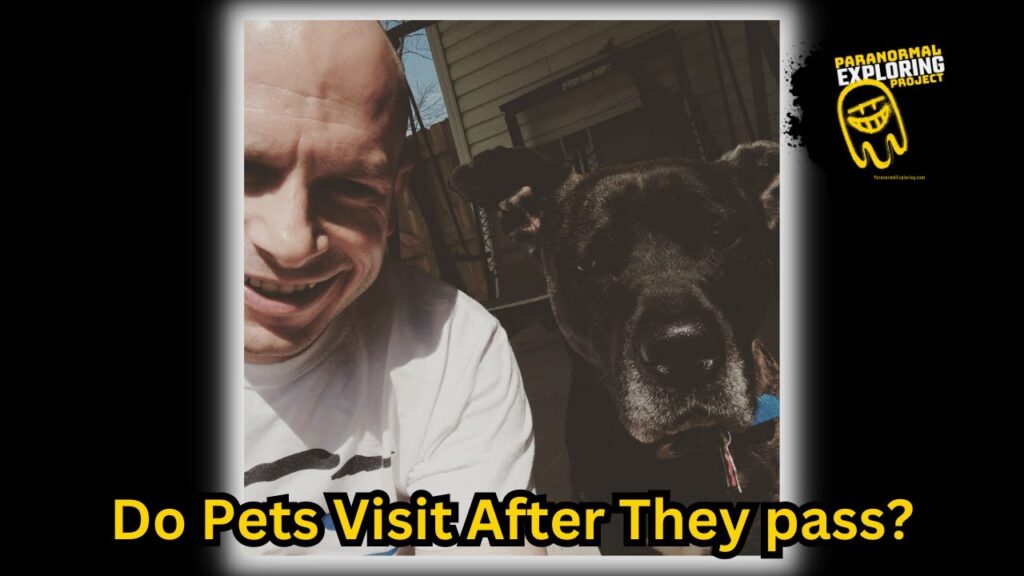 Do Pets Visit After Death? | A Paranormal Exploring Podcast VLOG