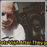 Do Pets Visit After Death? | A Paranormal Exploring Podcast VLOG